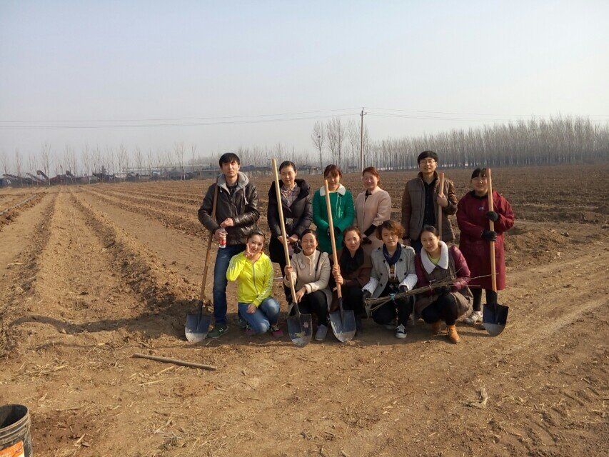 博農(nóng)集團(tuán)領(lǐng)導(dǎo)、基層黨政負(fù)責(zé)人等同志積極參加植樹活動