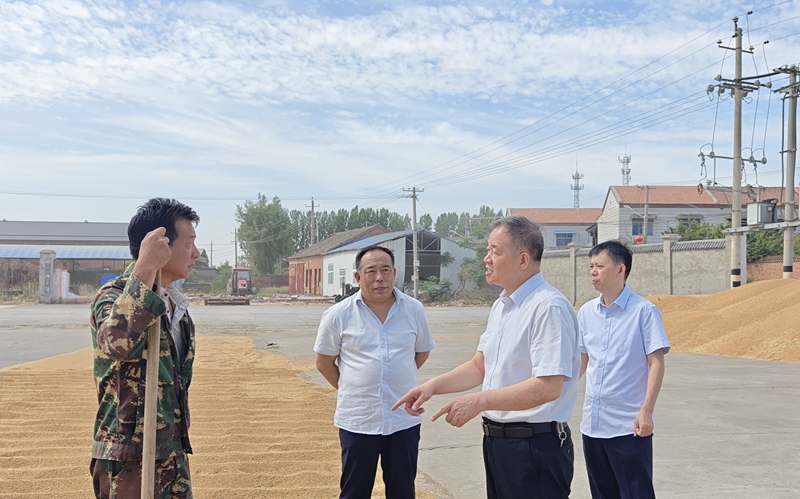 集團(tuán)領(lǐng)導(dǎo)視察“三夏”工作